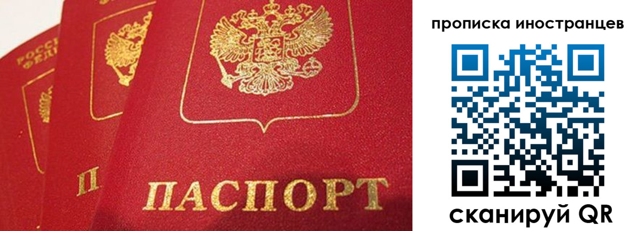 прописка поиск в Коряжме